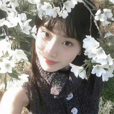 枭雄